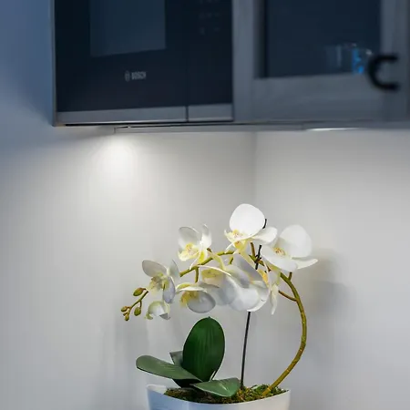 Bright With Parking And Remote Work In Wola By Renters 公寓 华沙